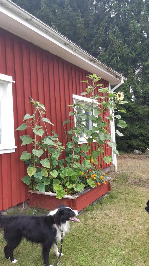 Stuga Asnagard Torsby Exterior photo